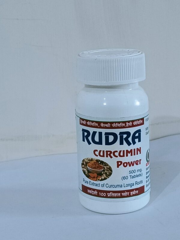 SRI RUDRA CURCUMIN (500MG)